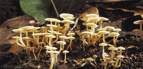 甘谷话方言图片,甘谷方言一二三四