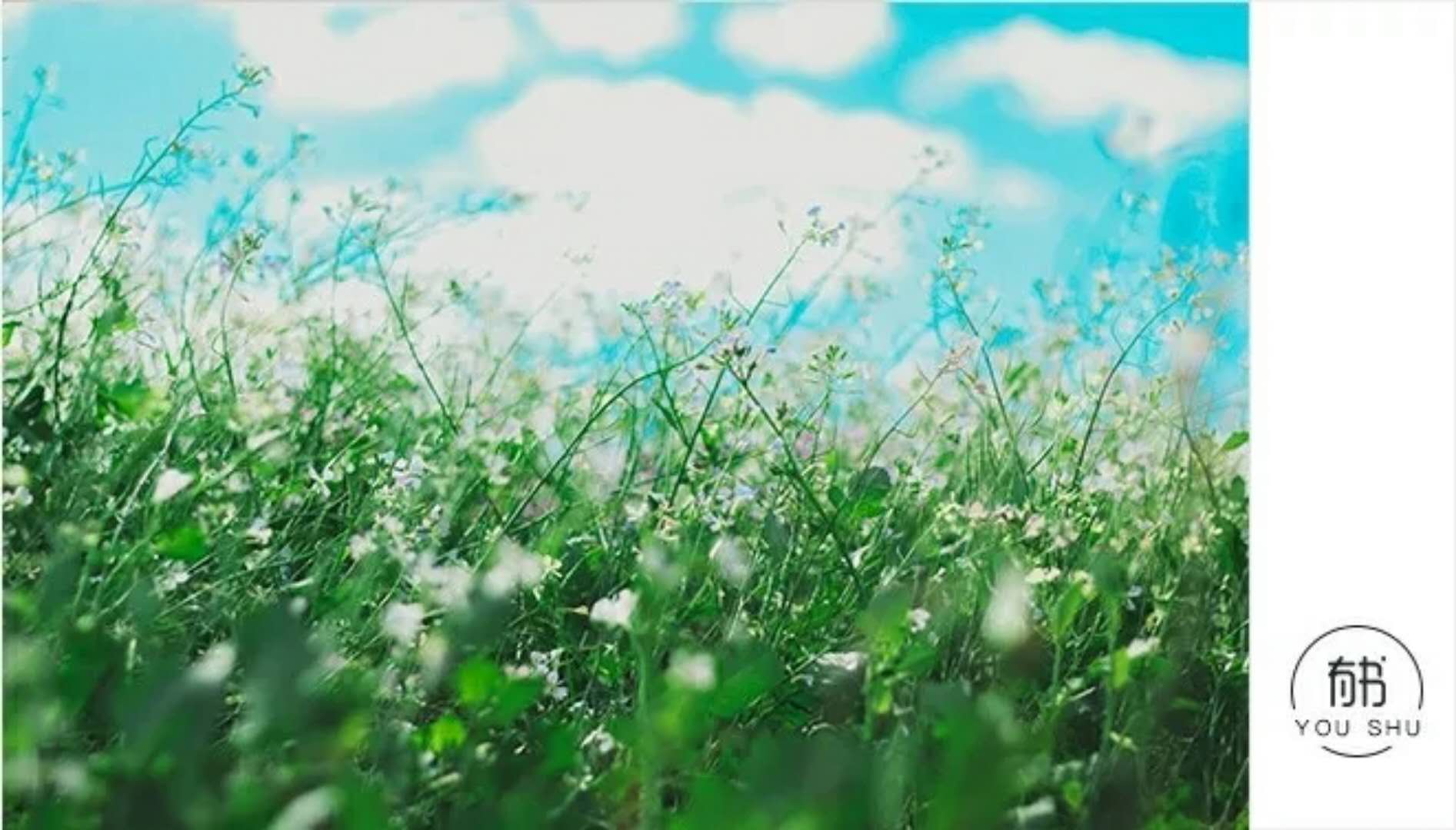 海底捞员工为何挖都挖不走,海底捞员工怎么越来越少了