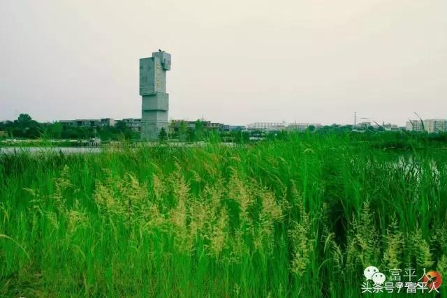 我的故乡陕西渭南市富平县,我的故乡陕西富平