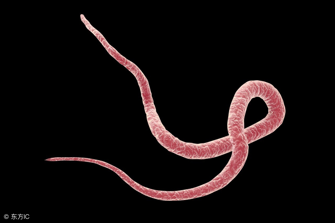 孩子有蛔虫总是在晚上出现怎么治,五种情况看出孩子肚里有虫子