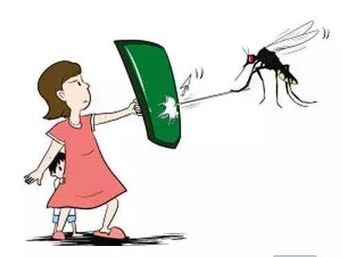 夏天蚊虫叮咬红肿起水泡,夏天蚊虫叮咬的处理办法