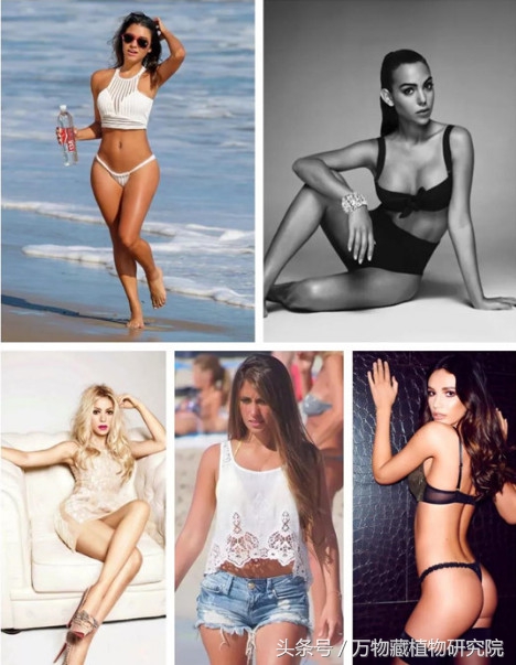 涓栫晫鏉樋鏍瑰环鐗╄祫,涓栫晫鏉壒鏁堣嵂