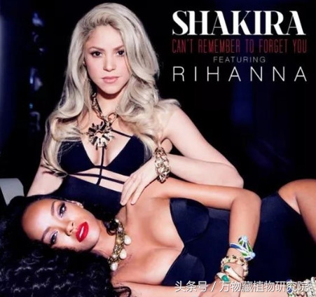 涓栫晫鏉樋鏍瑰环鐗╄祫,涓栫晫鏉壒鏁堣嵂