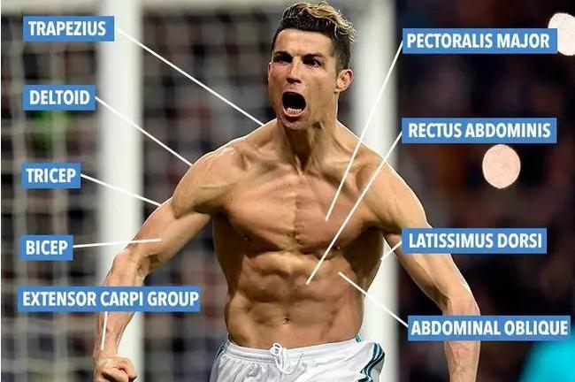 c罗告诉你足球最重要的是什么,c罗告诉我自律的人生有多开挂