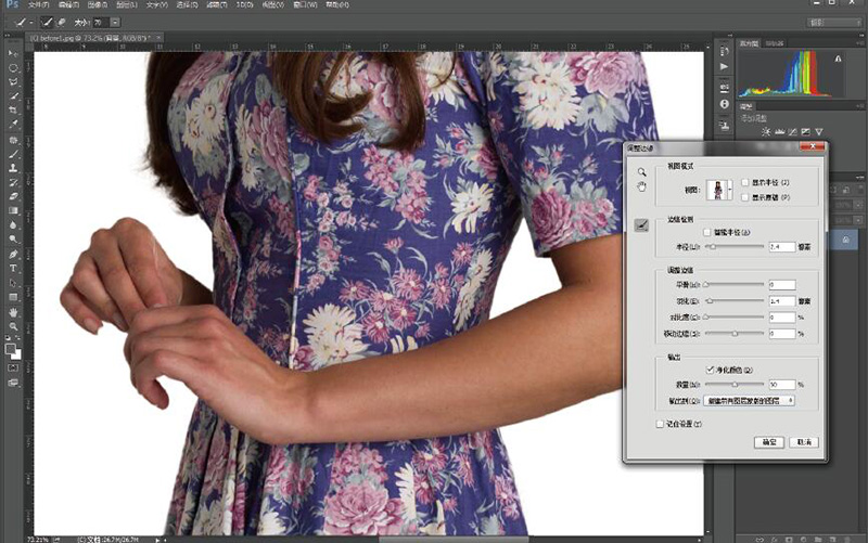 抠图换背景教程,照片抠图移花接木
