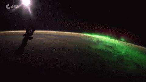 看着星空撸熊猫，这两个直播间24H都能给你惊喜