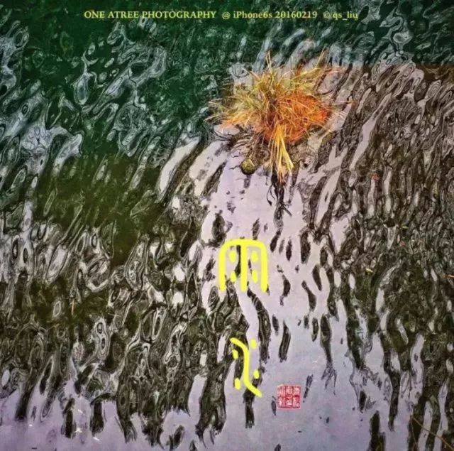 夏至在最短的夜陪你做最长的梦,夏至是白天对你思念最长的一天