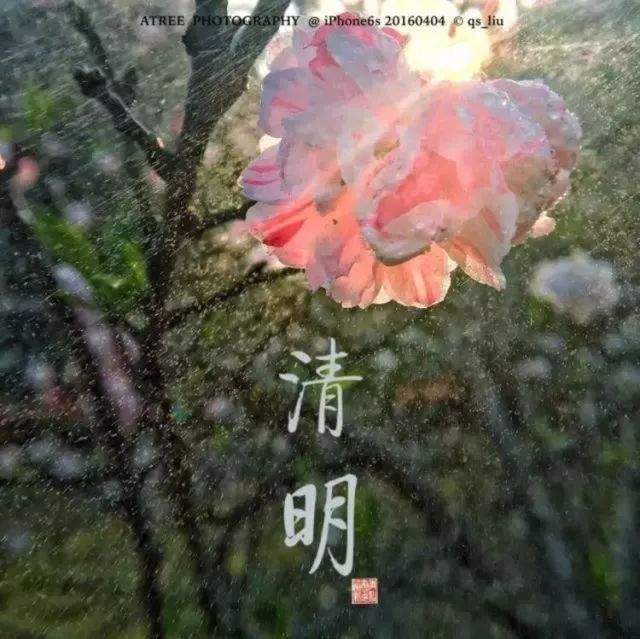 夏至在最短的夜陪你做最长的梦,夏至是白天对你思念最长的一天