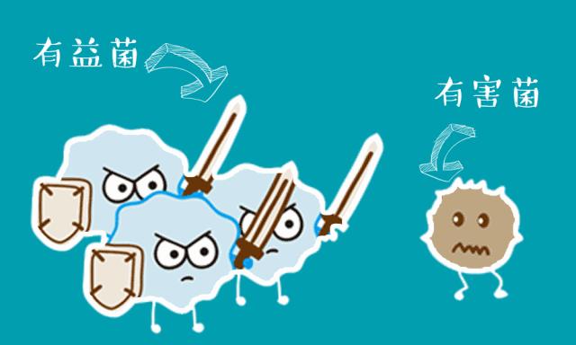 国内低温乳酸菌饮料排行榜,乳酸菌饮料排名前十名图文