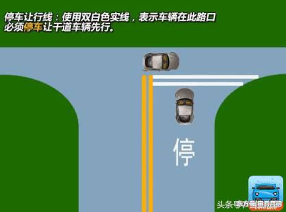 交规冷知识图片大全,马路小白杀手图片