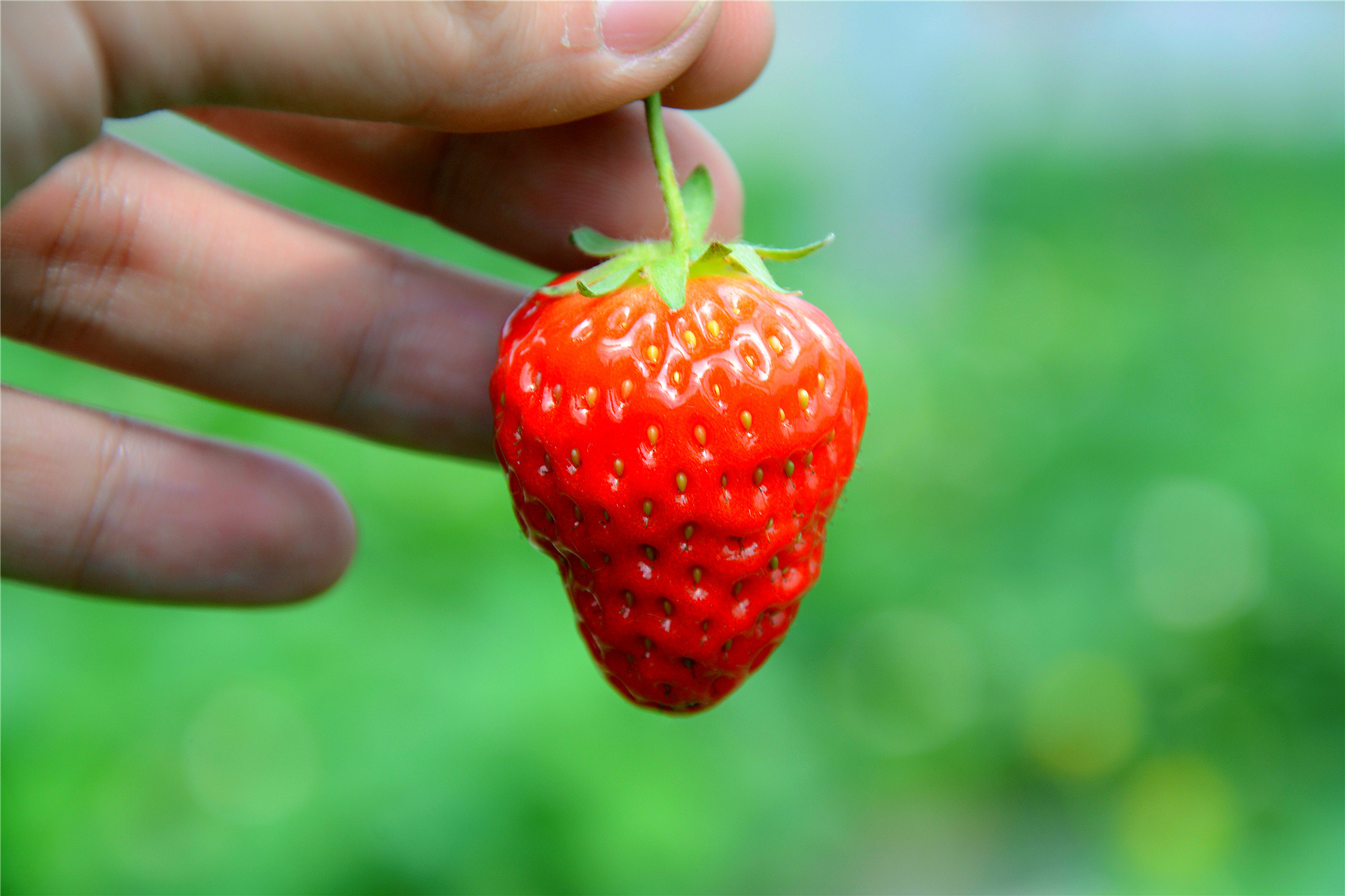 苏州哪里小桥流水人家,苏州少数人知道的好玩地方