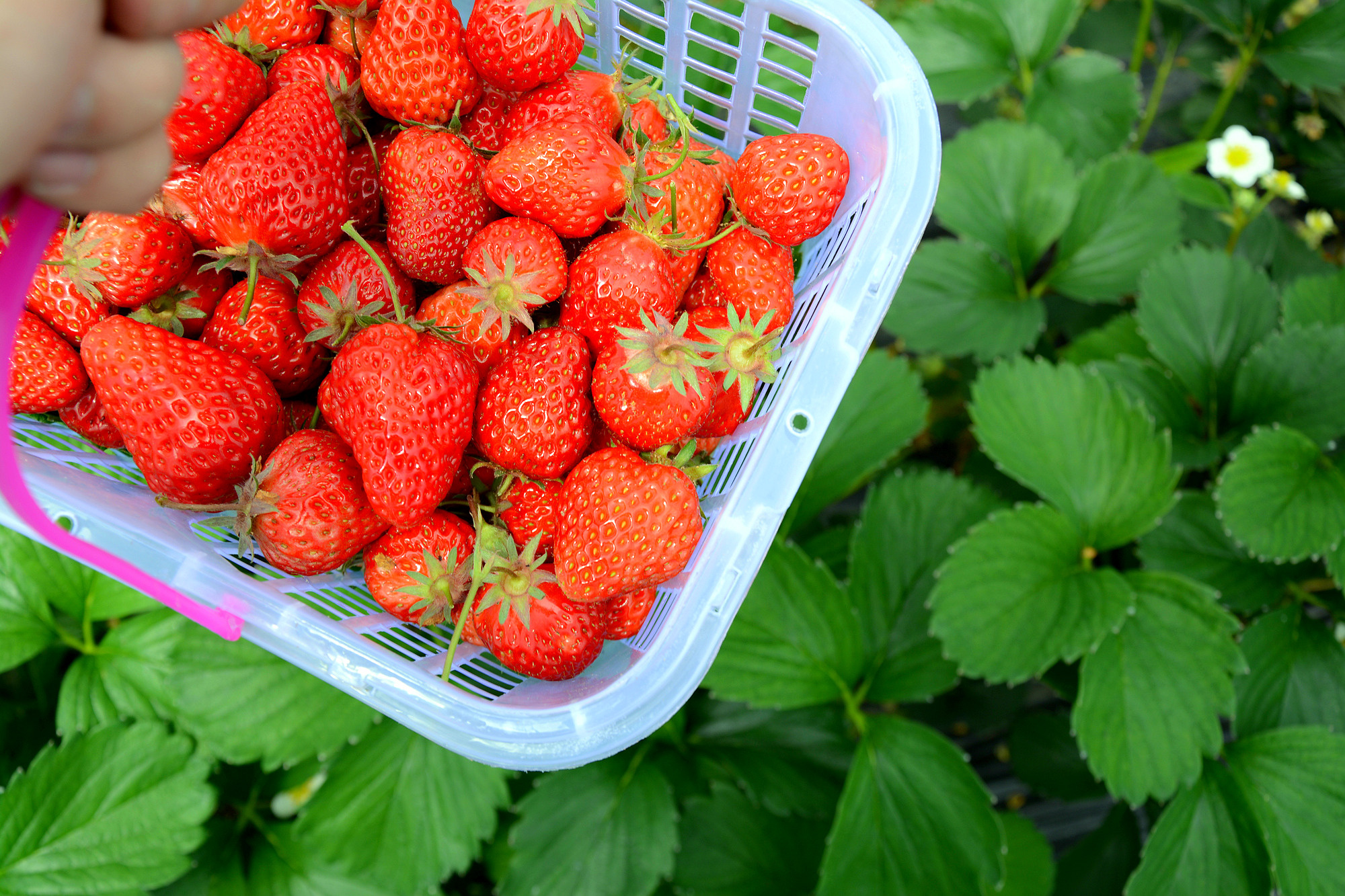苏州的小桥流水在哪里,苏州比较不错的景点