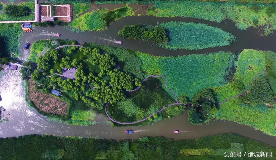 台儿庄古城免费政策包括哪些,台儿庄古城五区一市免费