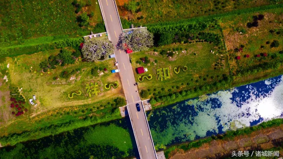 台儿庄古城免费政策包括哪些,台儿庄古城五区一市免费