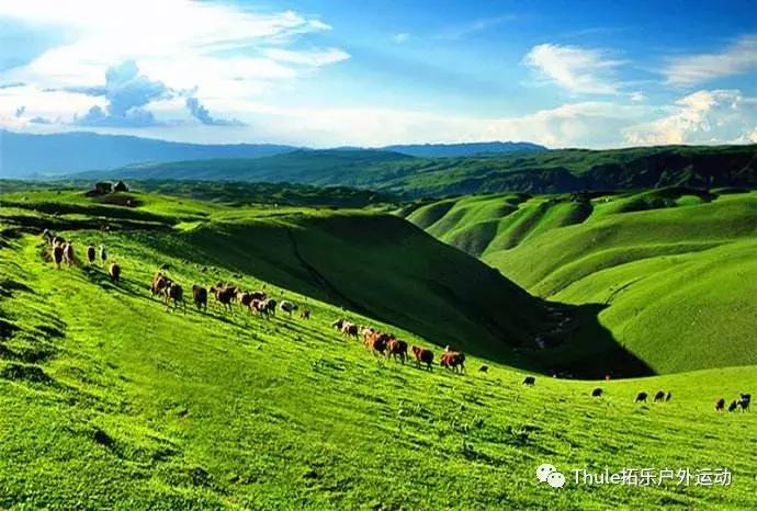 六月份适合旅游的地方,六月适合去哪里自驾游