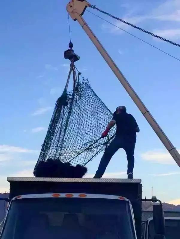 天津看球的五大场所,天津世界杯看球赛的地方