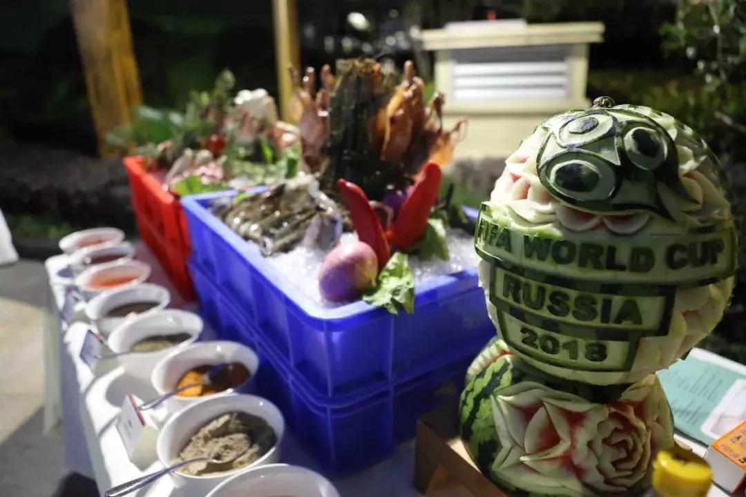 聚焦世界杯球迷,聚焦世界杯2022