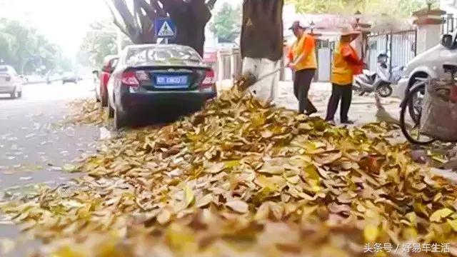 烈日下被暴晒,烈日暴晒车