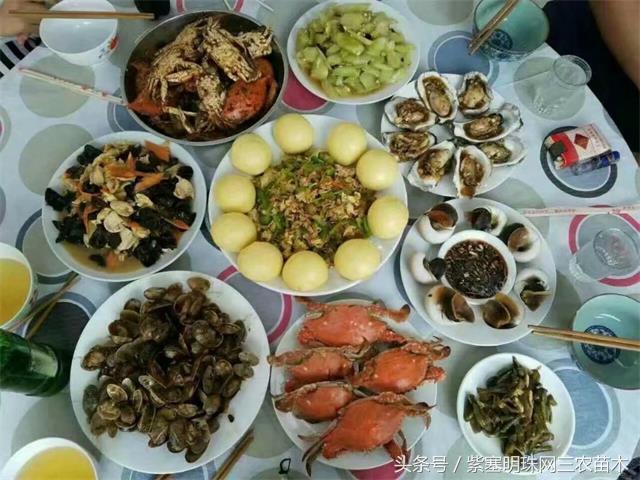 南戴河*哥涛**农家院（成杰宾馆）云烟天外黄金缕，渔火滩头绿酒家！