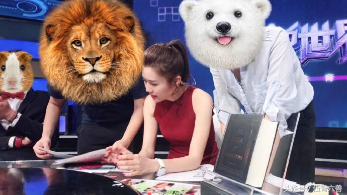 央视足球美女评论员,最早央视足球解说女的叫啥