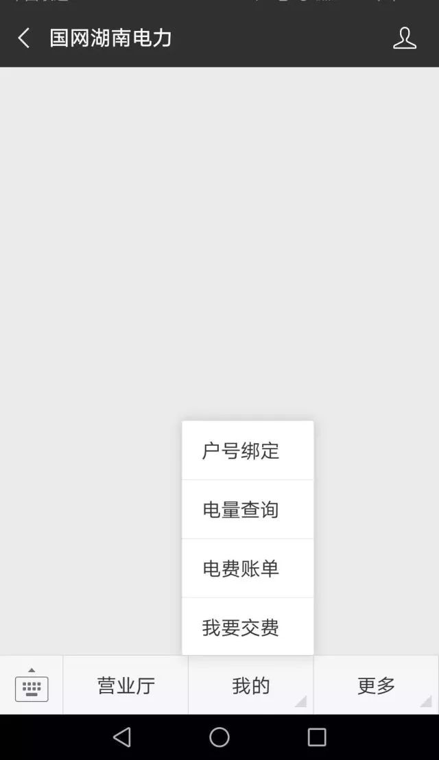 岳阳县人，懒得出门交电费，小编教你轻轻一点用电无忧~