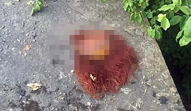 女性被人杀害的真实案例,少女被杀害的真实案例