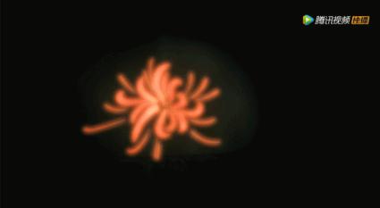 宋茜黄景瑜同款穿搭 (宋茜黄景瑜剧照)