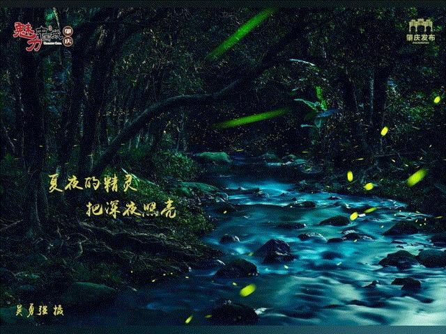 网络赌球输钱能不能报警,网络赌球输得血本无归