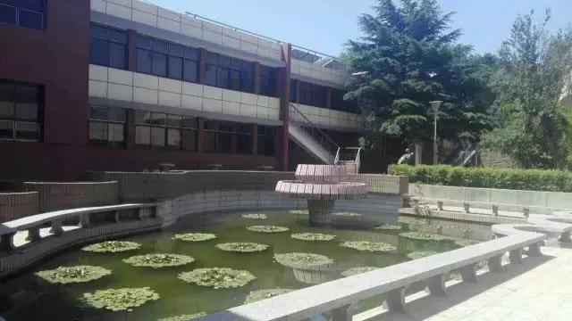 唐山青少年军事夏令营招生,唐山中小学生军事夏令营培训