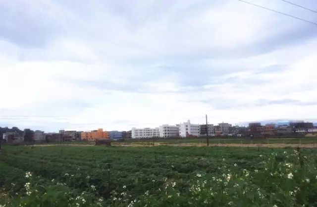 南昌周边有海的城市一日游,南昌周边一个小时可到的风景区