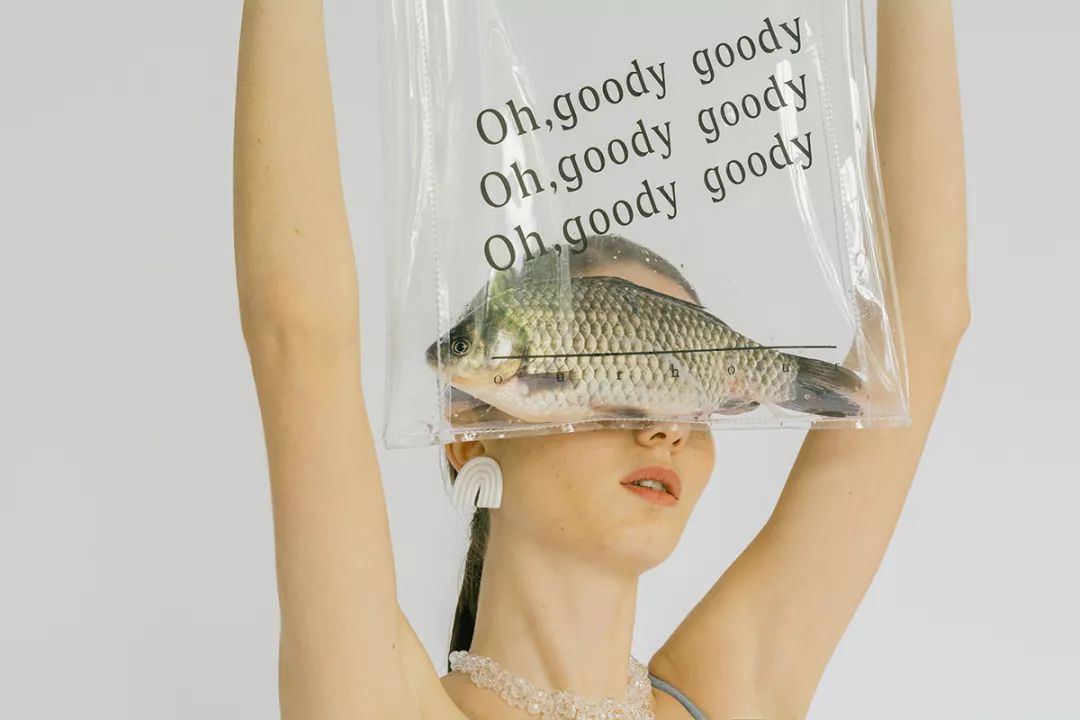 你还在花钱买苹果吗,你还在花钱买项目吗