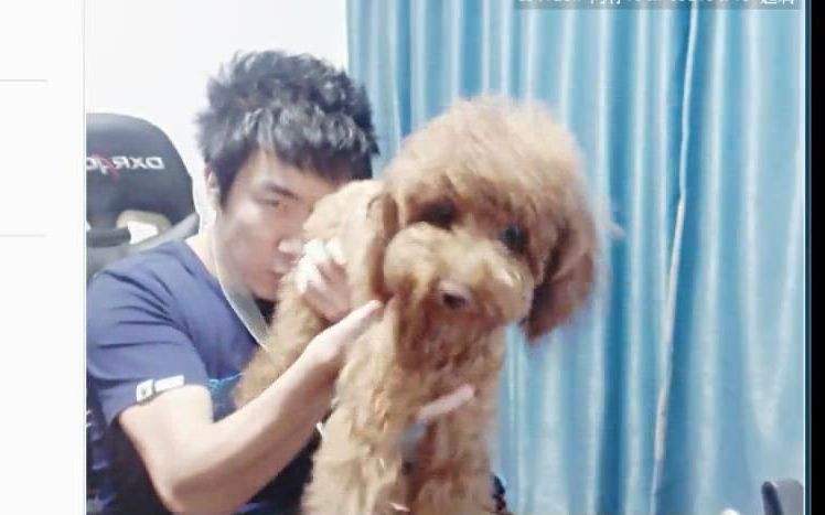 直播平台选择及其特点,直播平台的主要类型有哪些