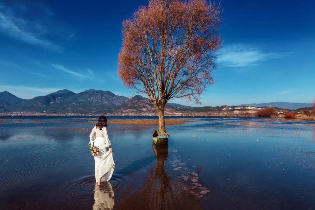 看了照片，我3秒钟就决定要去丽江！