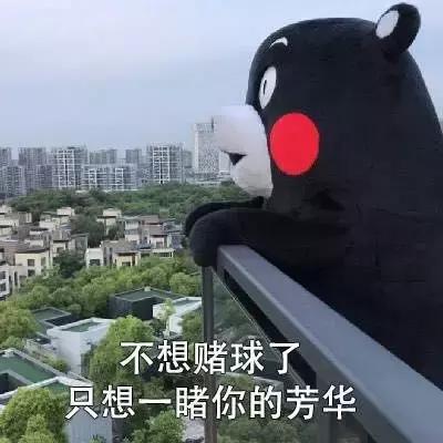 世界杯最土味的话语,关于欧洲杯的土情话