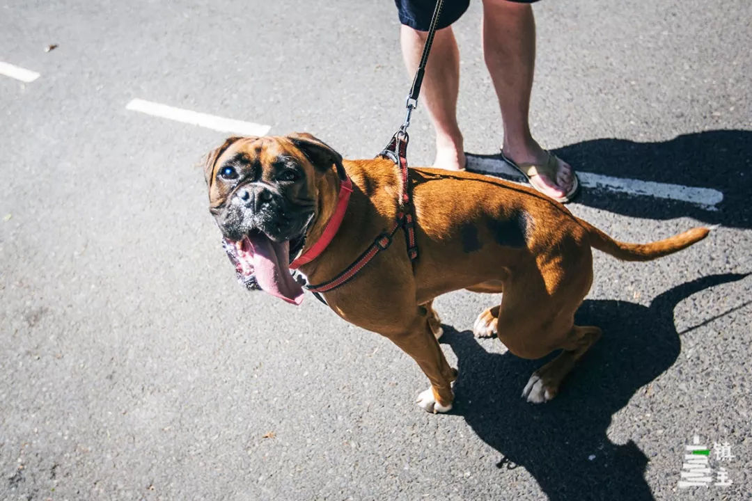 英国彼得兔故居,探寻英国小镇书