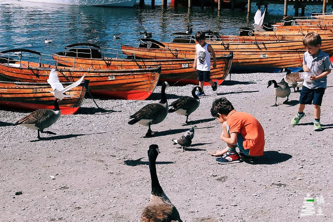 英国彼得兔故居,探寻英国小镇书