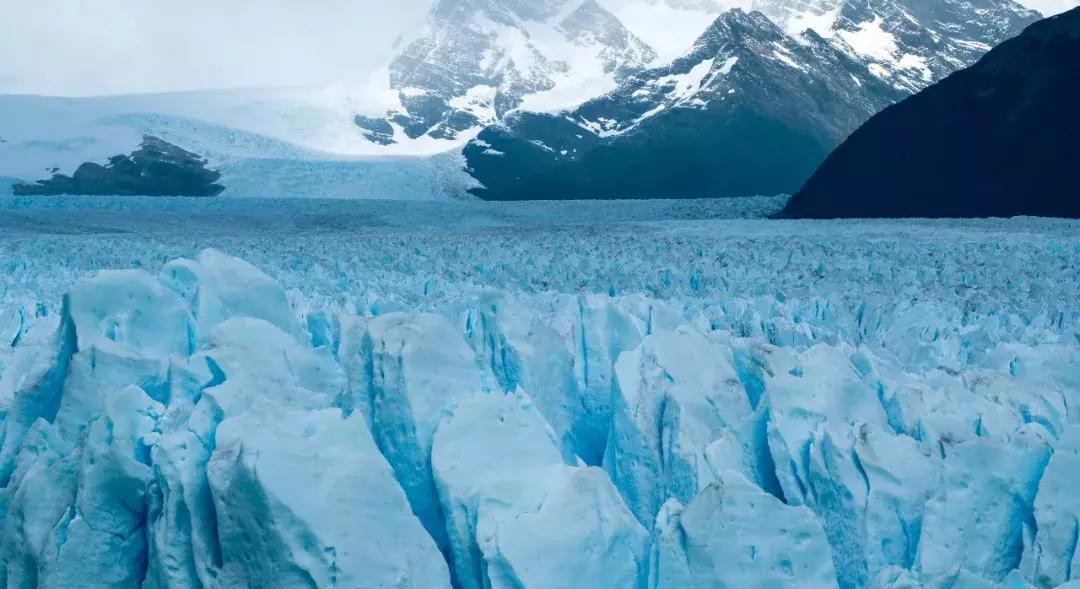 阿根廷以后输不输球,阿根廷2-0没输过