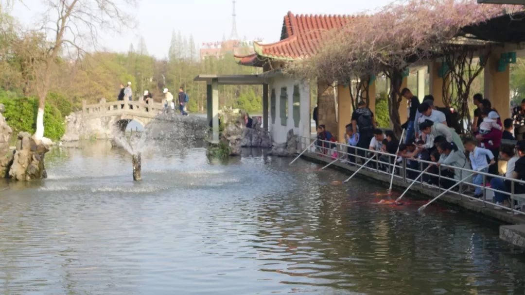 时光游合肥,时光旅行图集