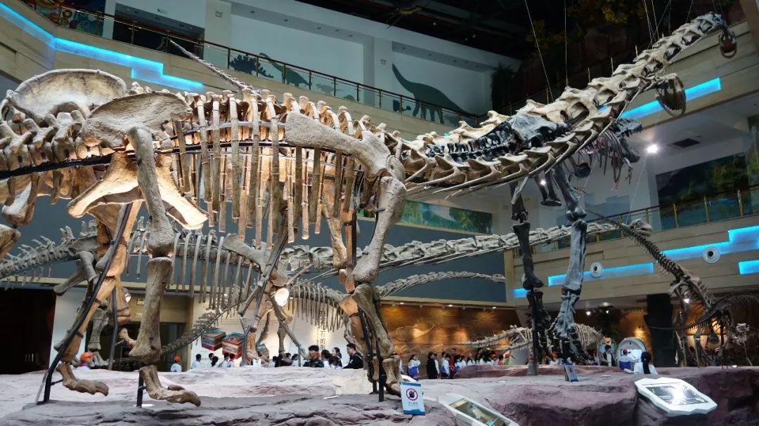 时光游合肥,时光旅行图集