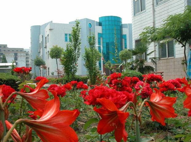 阜阳三中2020定向招生计划,阜阳三中2016年招生计划