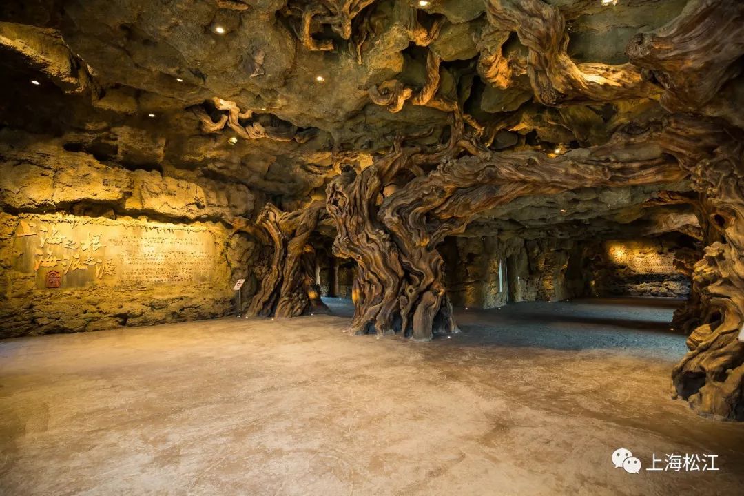 广富林遗址预约门票多少钱,小松探园门票