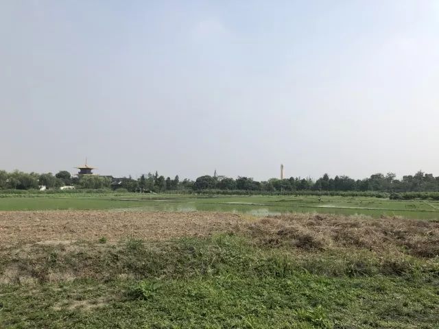 广富林遗址预约门票多少钱,小松探园门票