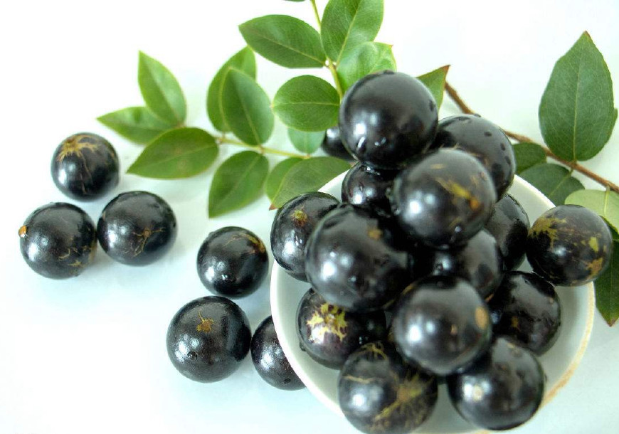 热带水果珍宝果,珍宝果属于什么水果