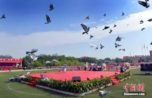 北京高招一本线出来了！文科：576分；理科：532分