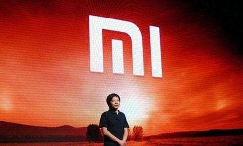 小米招股未解之谜,小米招股书代表什么