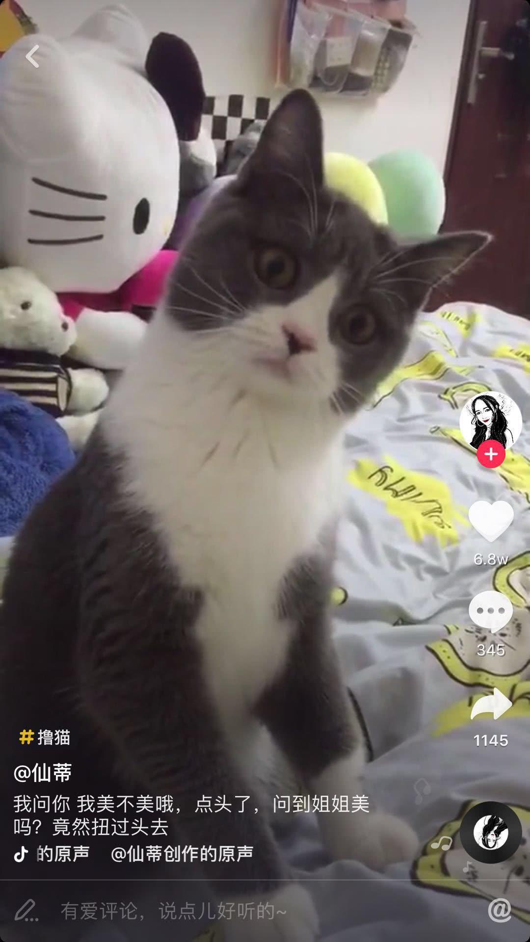 那些为了博眼球而自毁前途的网红,博人眼球的网红