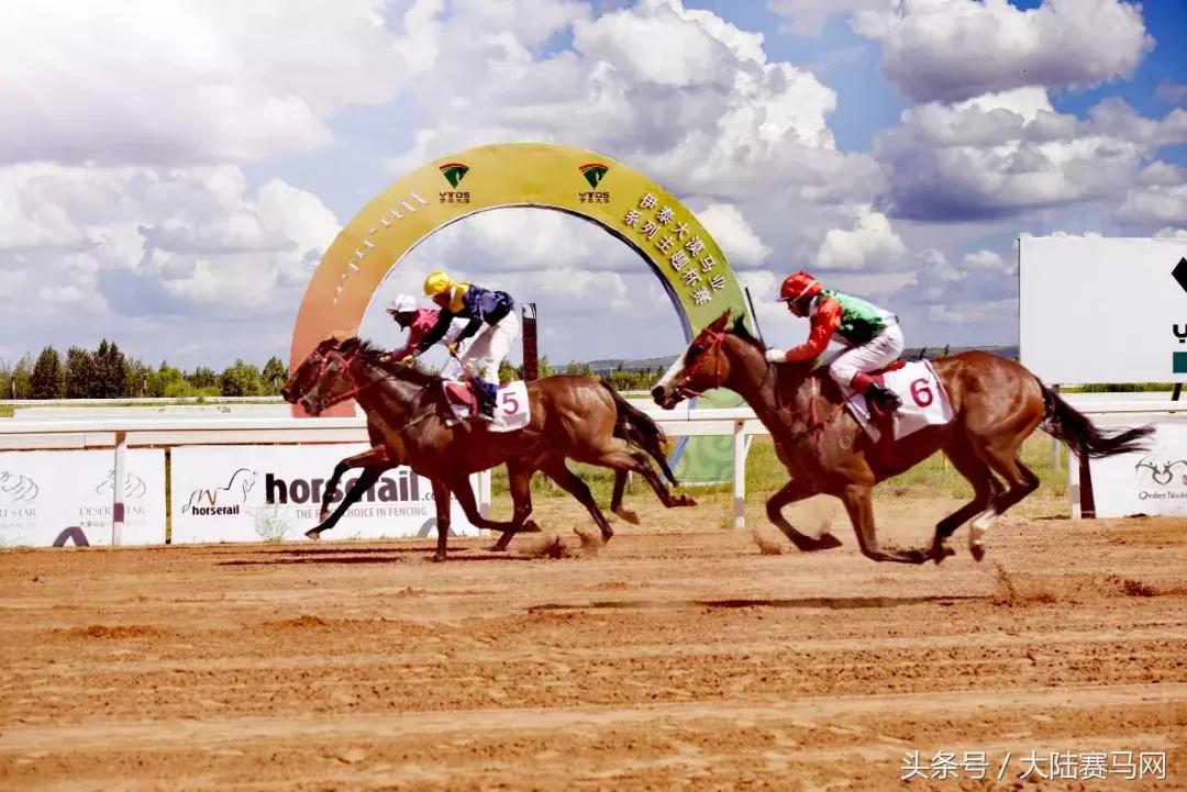 伊泰大漠马场,内蒙古伊泰杯2023