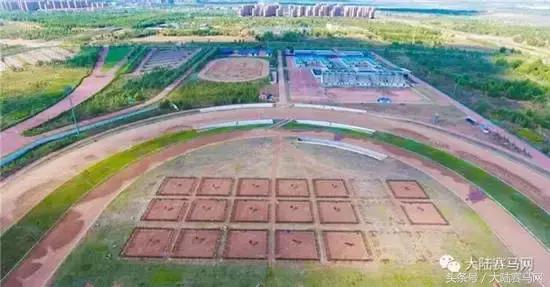 内蒙古伊泰大漠马业在哪里,内蒙古伊泰大漠马业