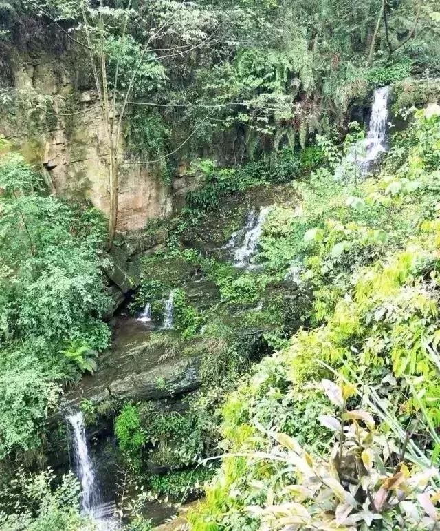 成都周边小众森林秘境,成都周边有山有水还免费的地方