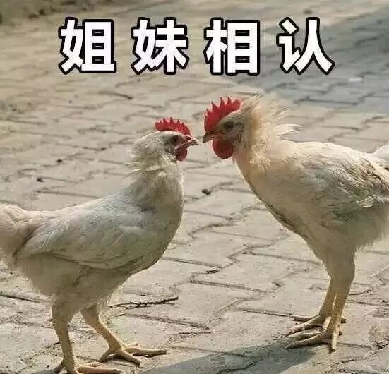 怎么对付心机婊讲解,怎么对付带节奏的心机婊